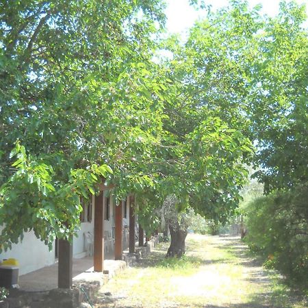 Agriturismo Su Tiresi Cala Gonone Exterior foto