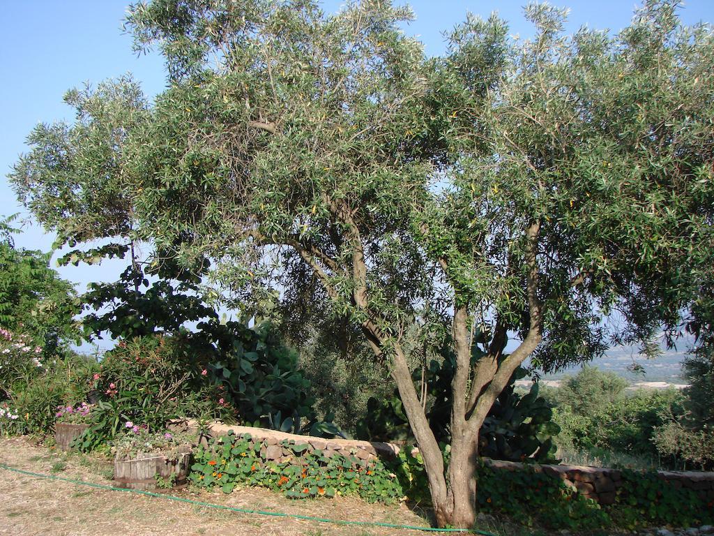 Agriturismo Su Tiresi Cala Gonone Exterior foto