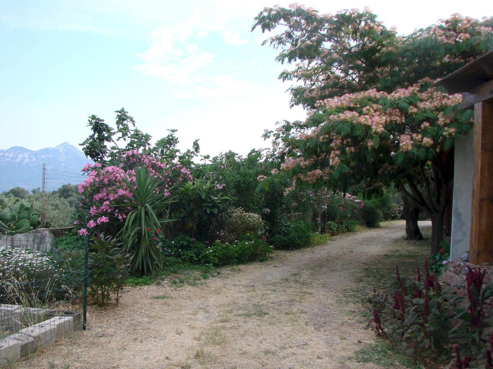 Agriturismo Su Tiresi Cala Gonone Exterior foto