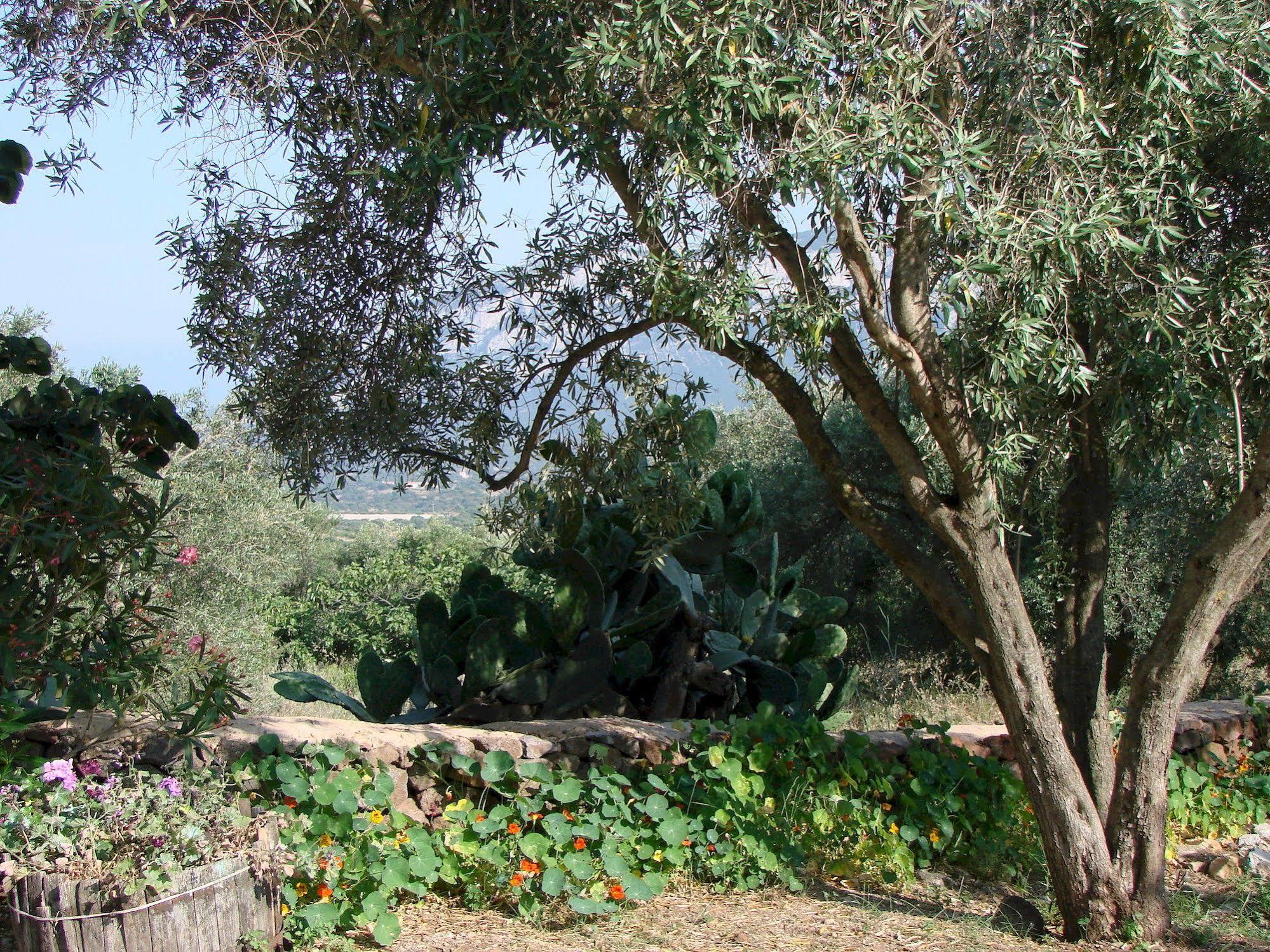 Agriturismo Su Tiresi Cala Gonone Exterior foto