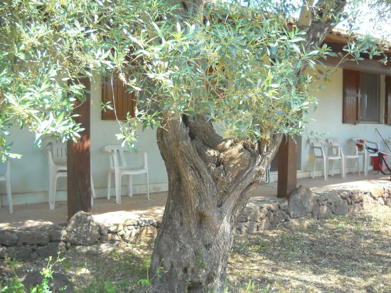 Agriturismo Su Tiresi Cala Gonone Exterior foto