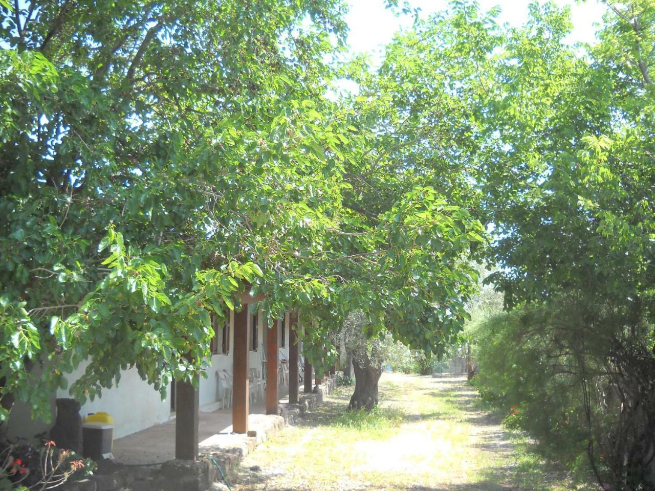 Agriturismo Su Tiresi Cala Gonone Exterior foto